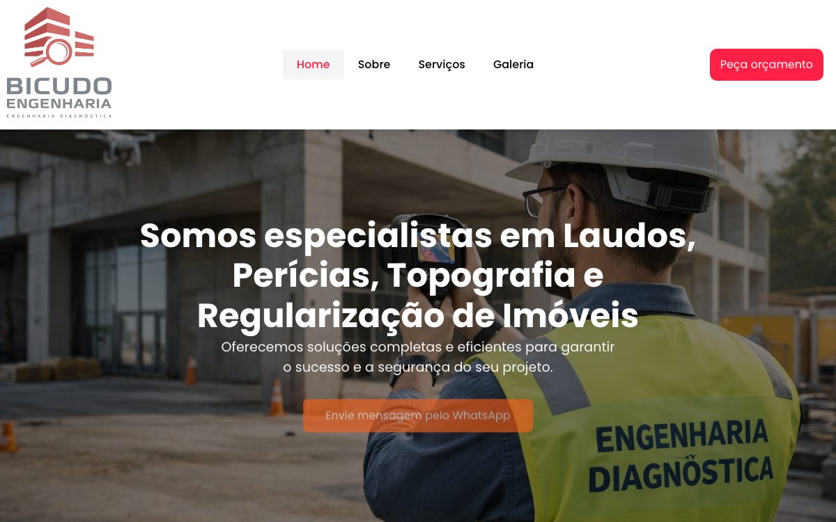Bicudo Engenharia